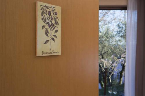 collina di collevalenza 029
